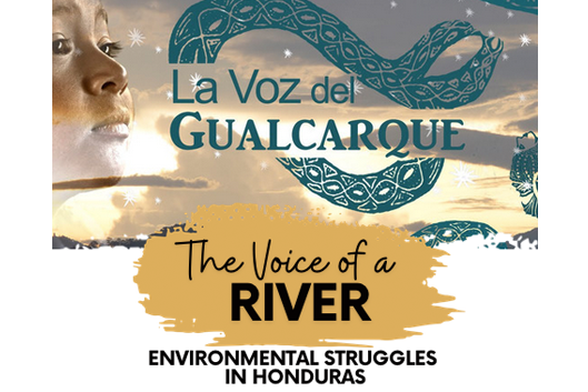 La  Voz del Gualcarque / The Voice of a River flyer